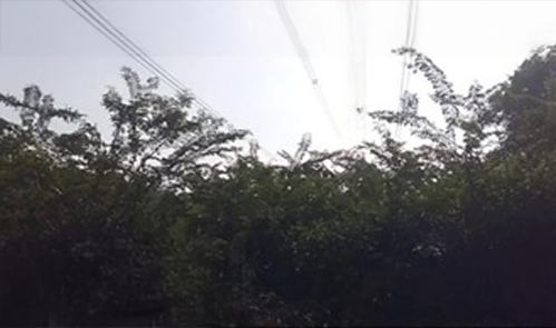 Limpeza-Faixa-Servidao-Alta-Villa-Jardinagem-01 ANTES