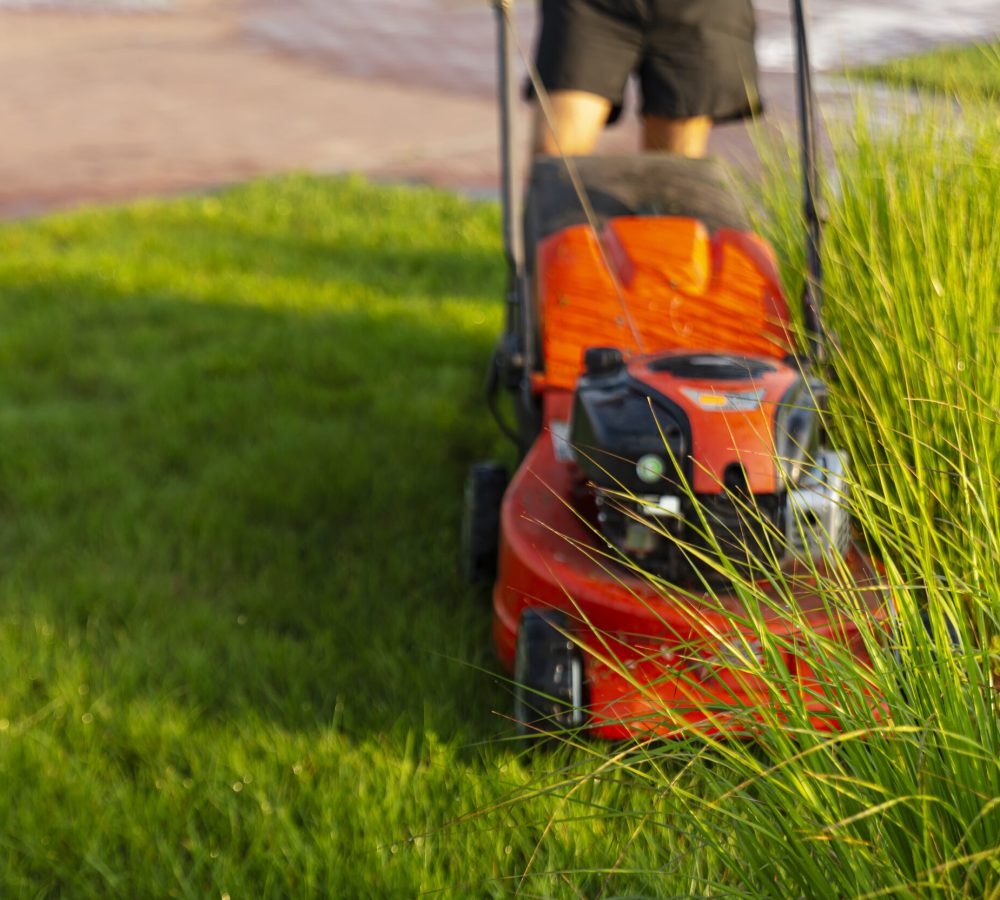 Man mows a lawn with a lawn mower in the morning at dawn.