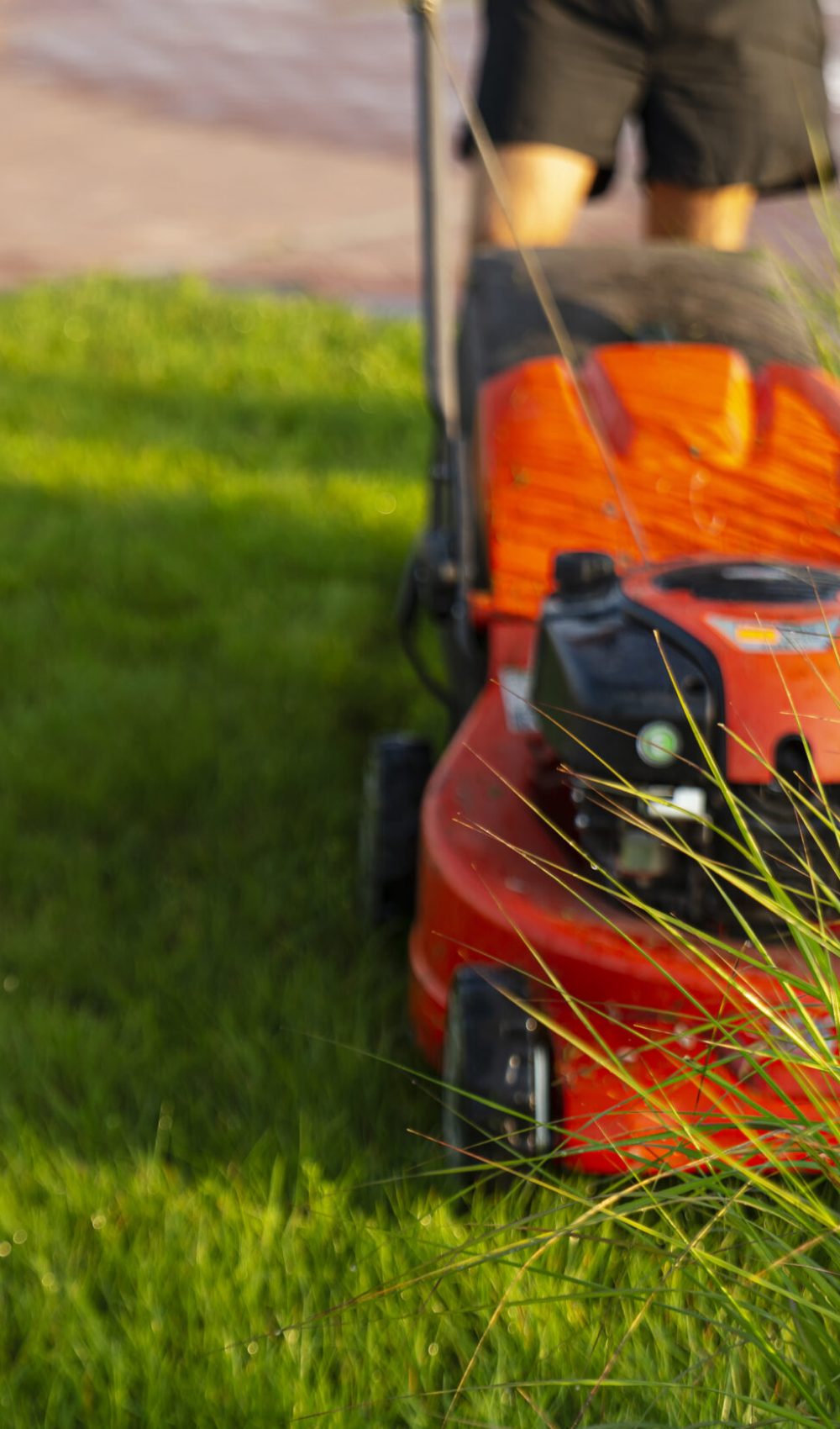 Man mows a lawn with a lawn mower in the morning at dawn.