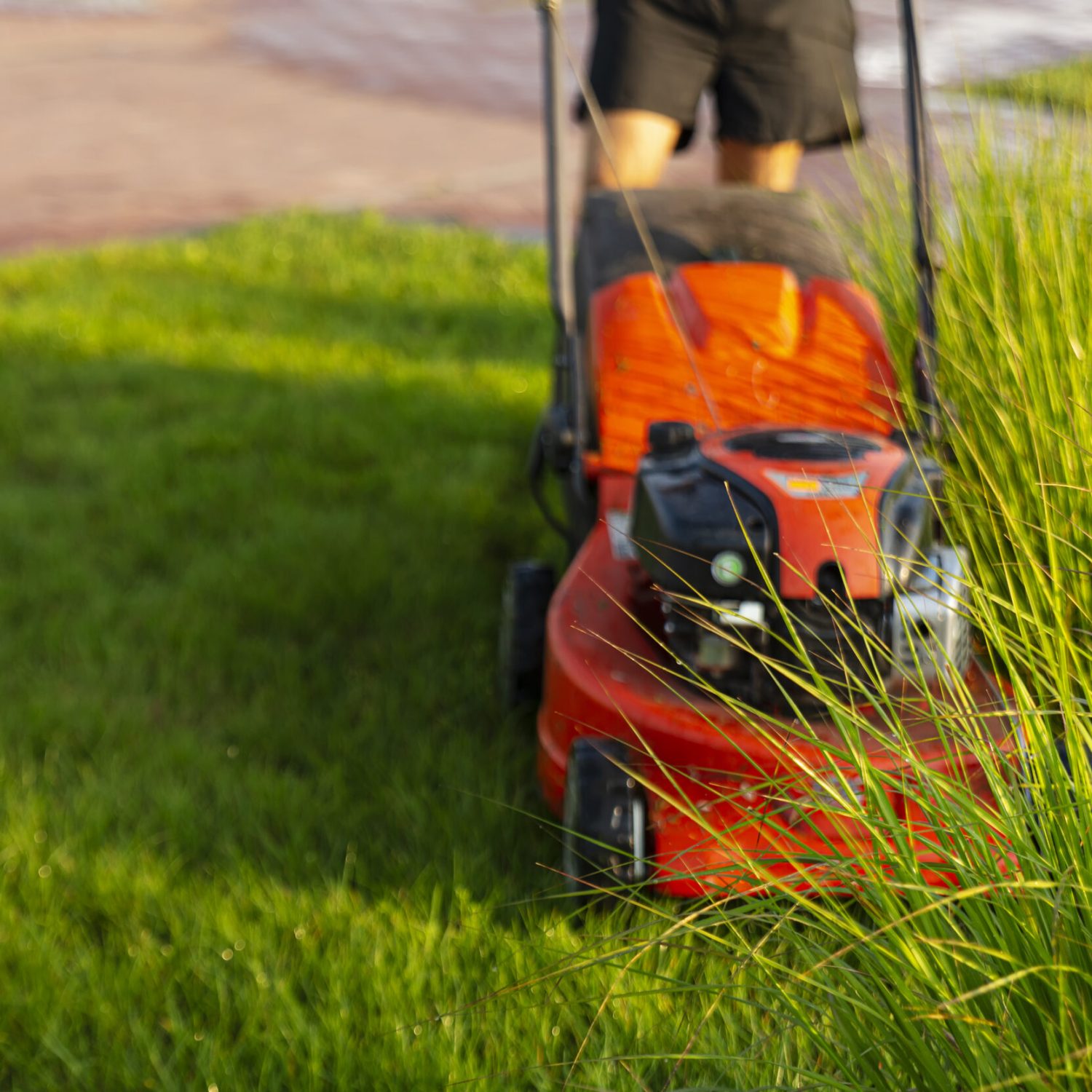 Man mows a lawn with a lawn mower in the morning at dawn.