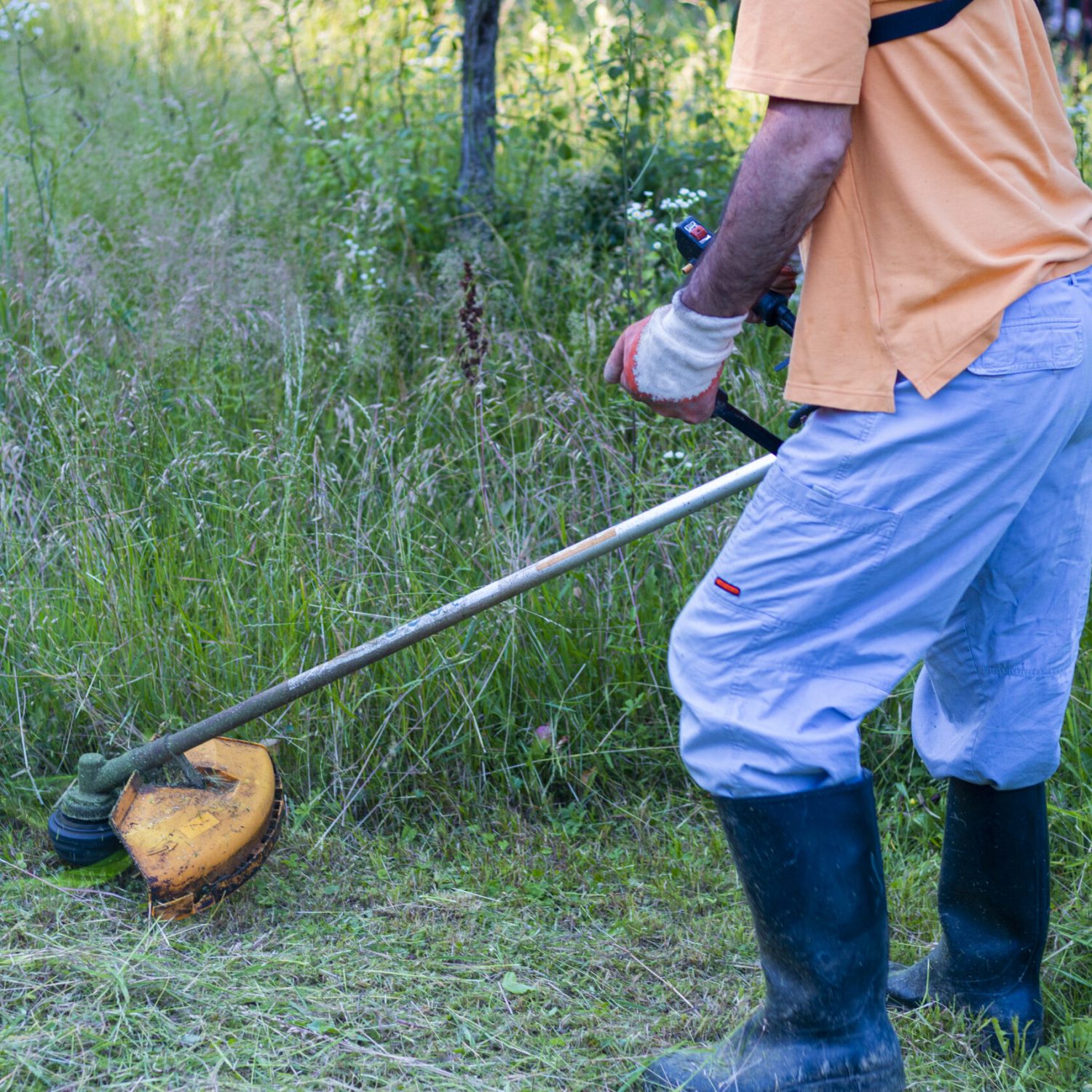 A mature man in protective clothing, and gloves with a trimmer.